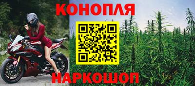 спиды Моздок