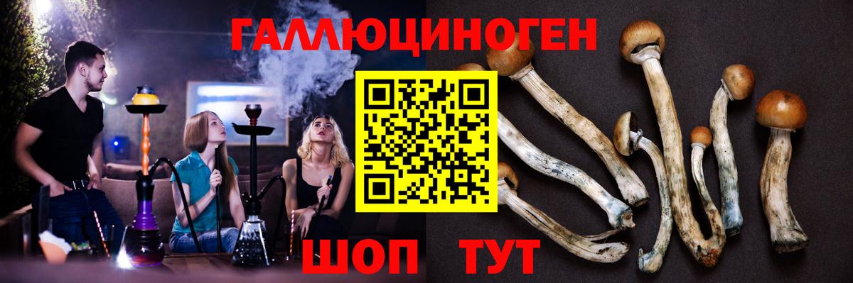 Галлюциногенные грибы мухоморы Ульяновск