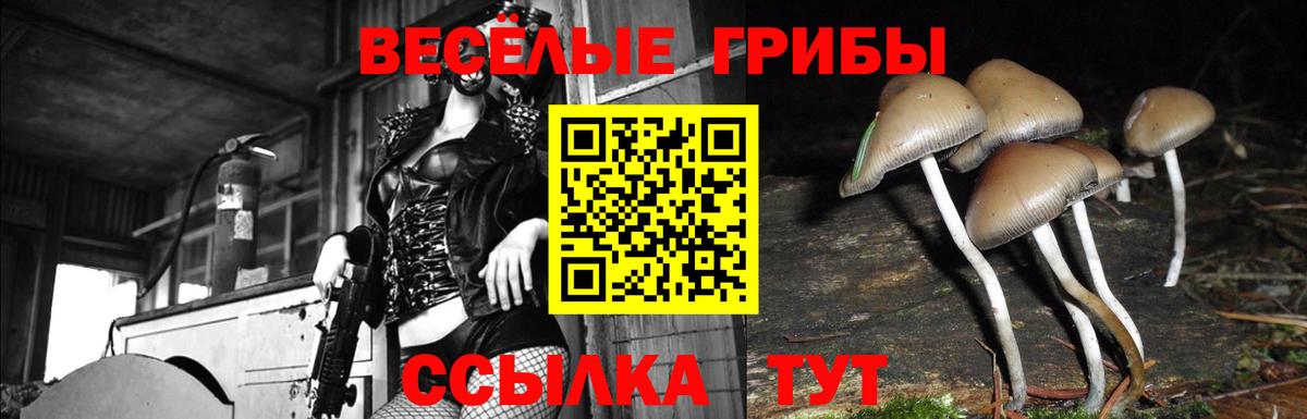 Псилоцибиновые грибы GOLDEN TEACHER  наркошоп  Ульяновск  Вход с VPN 